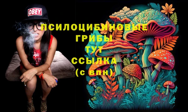 гашик Алзамай