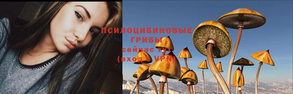 гашик Алзамай