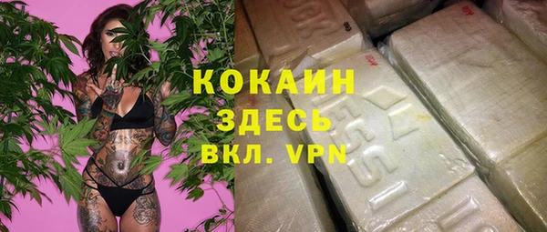 гашик Алзамай