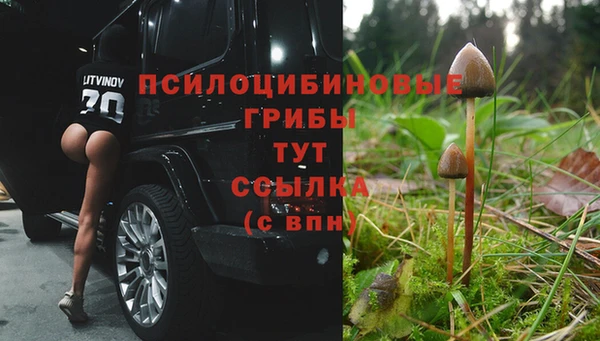 гашик Алзамай